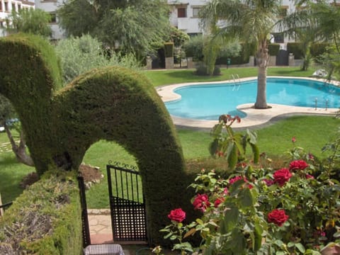 Property building, Swimming pool