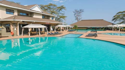 Swimming pool