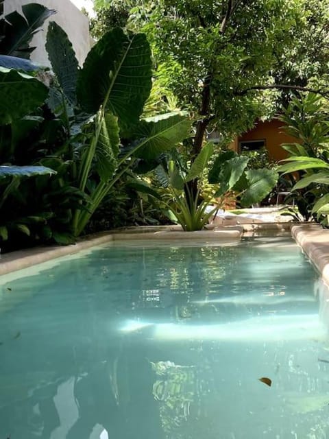 Natural landscape, Garden, Pool view, Swimming pool