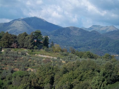 Natural landscape, Hiking, Mountain view