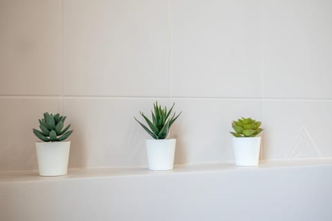 Bologna41 Apartment in Parma