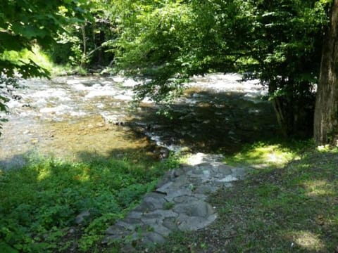 My Valentine House in Pittman Center