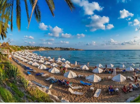 villa 58 coral bay seafront Villa in Peyia