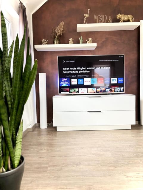 TV and multimedia