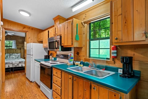 Cozy Cabin, Fireplace, WiFi, Hot Tub, Views! Cabin in Pittman Center