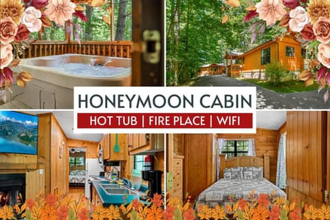 Cozy Cabin, Fireplace, WiFi, Hot Tub, Views! Cabin in Pittman Center