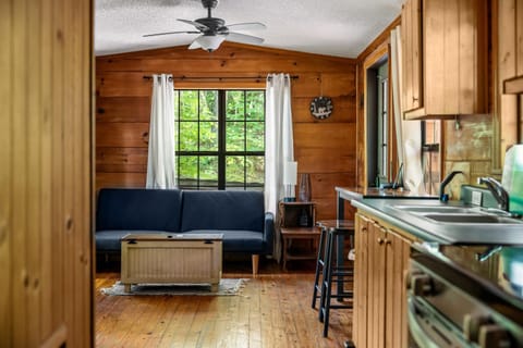 MTN Views, Hot Tub, WiFi, Sleeps 3 House in Pittman Center