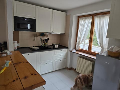 Kitchen or kitchenette, dishwasher, stove