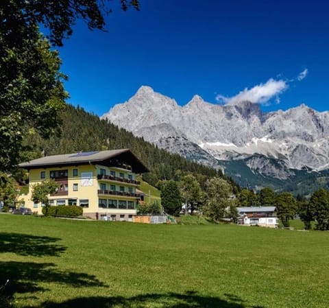 Spring, Natural landscape, Mountain view