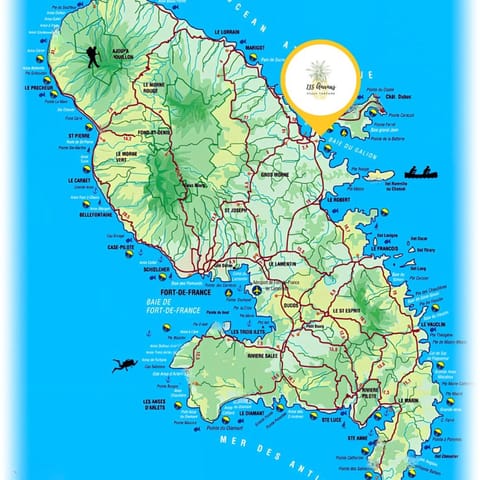 Location