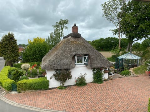 Property building, Day, Garden view