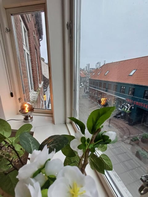 Charming Apartment On Pedestrian Street Randers Apartment in Central Denmark Region
