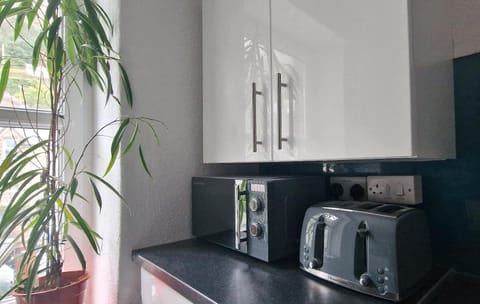 Kitchen or kitchenette, minibar, toaster, kitchen
