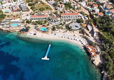 Natural landscape, Bird's eye view, Beach
