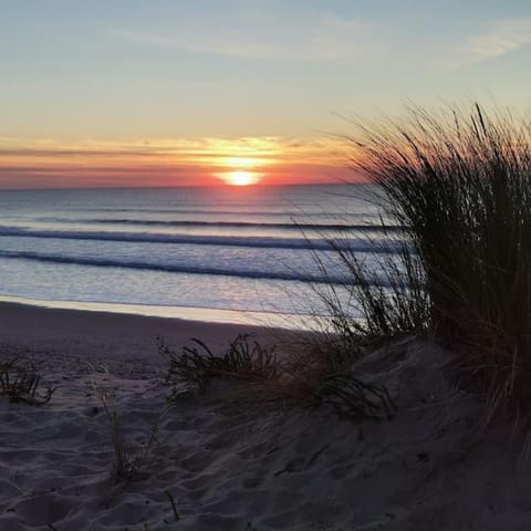 Natural landscape, Beach, Sunrise, Sunset