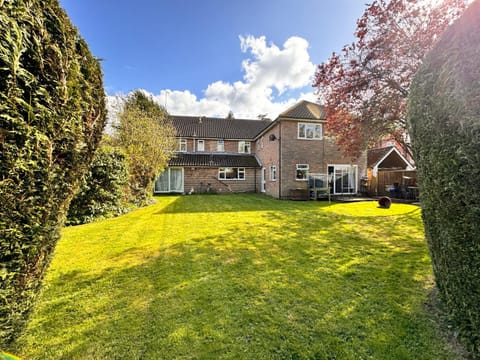 Garden, Garden, Garden view, Garden view