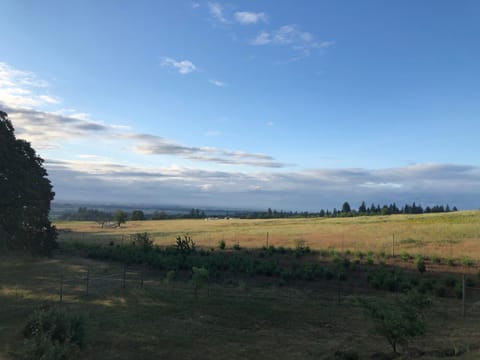 View (from property/room)