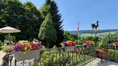 Natural landscape, Garden, Garden view