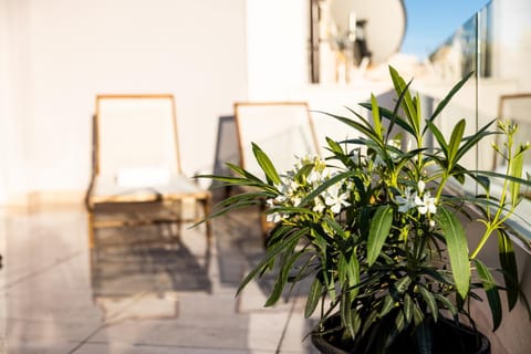 LUXURY MANDRE HOUSE Villa in Novalja