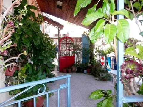 Garden, Balcony/Terrace