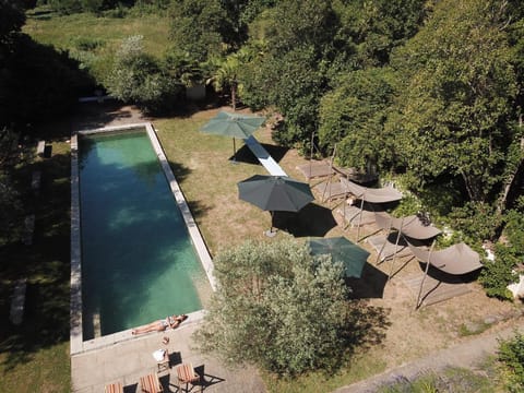 Garden, Garden view, Pool view, Swimming pool