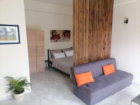 Bed, Living room, Photo of the whole room