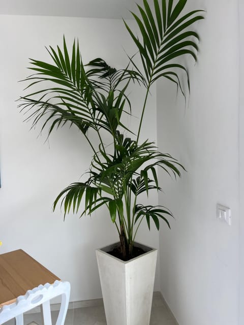 Ars de mar Bed and Breakfast in Martinsicuro