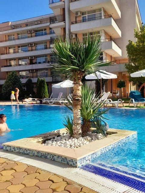 Property building, Garden, Swimming pool, sunbed