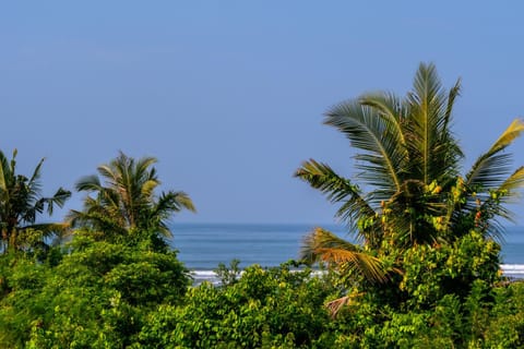 FATINN'S surf Apartements Apartment in Pekutatan