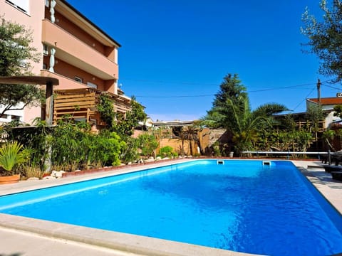 Garden, Swimming pool, sunbed