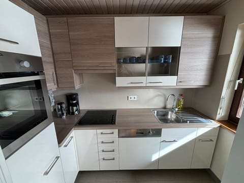 Kitchen or kitchenette, dishwasher, minibar, pet friendly, stove