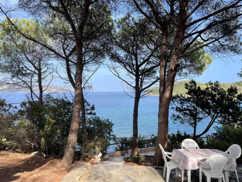 Natural landscape, Sea view