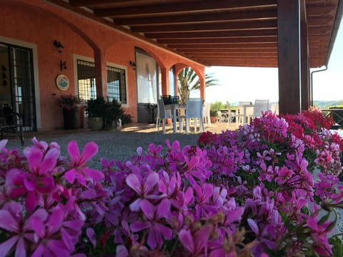 Property building, Patio, Facade/entrance, Garden