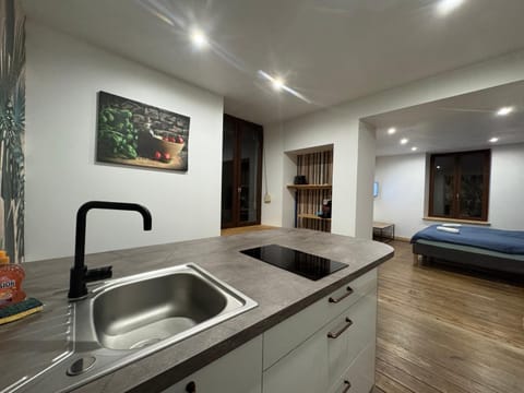 Le Garage de Cuba Apartment in Vosges