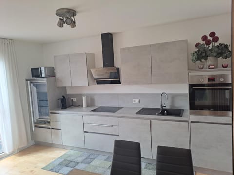 Kitchen or kitchenette, dishwasher, minibar, pet friendly, stove