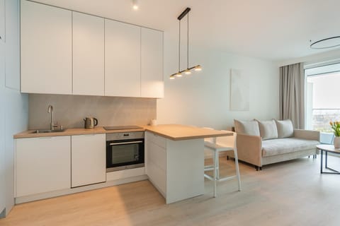 Kitchen or kitchenette, Living room, Seating area, Dining area
