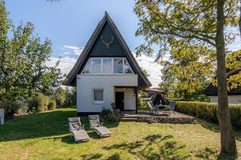 Property building, Spring, Day, Garden, Garden, Balcony/Terrace, Garden view