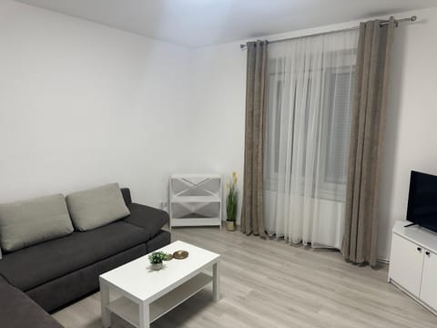 Aparthouse 1 Apartment in Timiș County