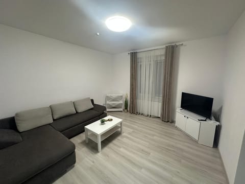 Aparthouse 1 Apartment in Timiș County