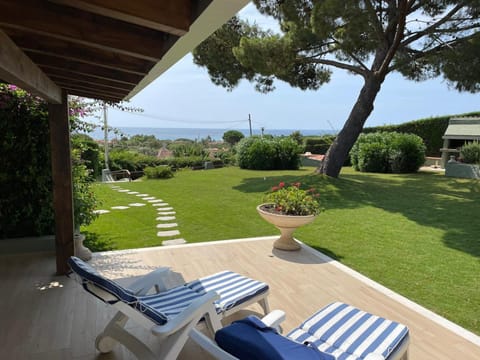 Patio, Garden, Garden view