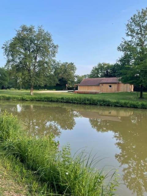 Lake view