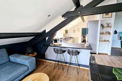 Le Nichoir de Laetitia Apartment in Thonon-les-Bains