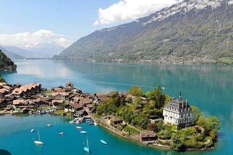 Day, Bird's eye view, Lake view