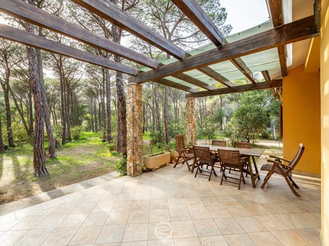 Balcony/Terrace, Garden view