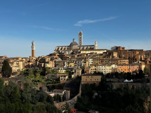 SKYLINE Siena Apartment in Siena