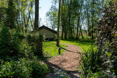 Natural landscape