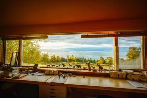 Natural landscape, River view, Sea view