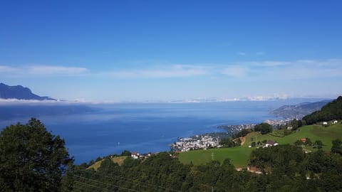 La Pergola Apartment in Montreux