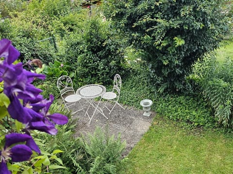 Property building, Garden, Garden view