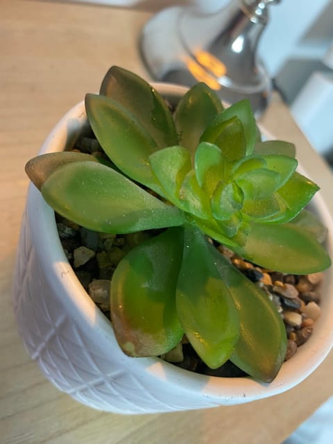 Agréable logement 2 chambres Apartment in Valenciennes